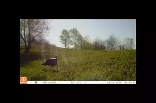 16379 N Sand Rd, Fulton, IL 61252 - Photo 23