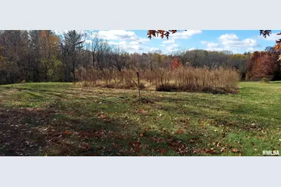 862 270th Street, Viola, IL 61486 - Photo 5