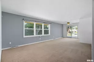 109 N 3rd St, Colona, IL 61241 - Photo 11