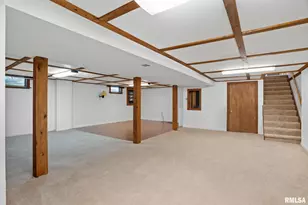 109 N 3rd St, Colona, IL 61241 - Photo 23