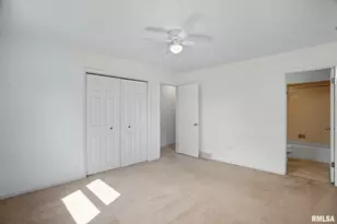 109 N 3rd St, Colona, IL 61241 - Photo 21