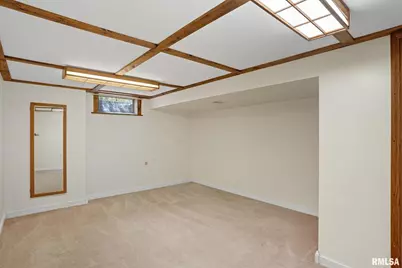 109 N 3rd Street, Colona, IL 61241 - Photo 27