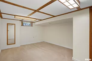 109 N 3rd St, Colona, IL 61241 - Photo 27