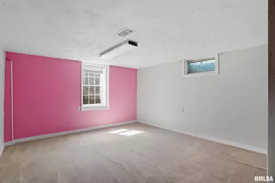 109 N 3rd Street, Colona, IL 61241 - Photo 25