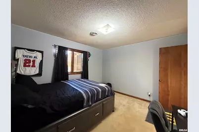 206 Daras Drive, Carmi, IL 62821 - Photo 27