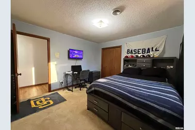 206 Daras Drive, Carmi, IL 62821 - Photo 25