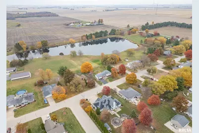 592 Lake Drive, Woodhull, IL 61490 - Photo 37