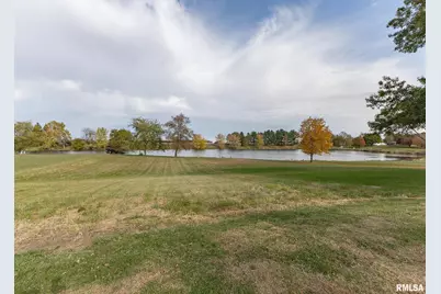 592 Lake Drive, Woodhull, IL 61490 - Photo 31