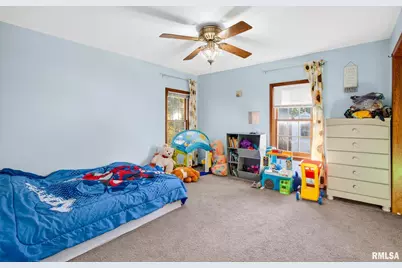 919 9th Avenue, Fulton, IL 61252 - Photo 49