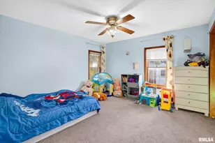 919 9th Ave, Fulton, IL 61252 - Photo 49