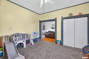 919 9th Ave, Fulton, IL 61252 - Photo 47