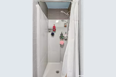 919 9th Avenue, Fulton, IL 61252 - Photo 45