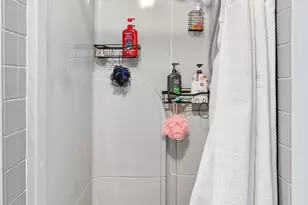 919 9th Ave, Fulton, IL 61252 - Photo 45