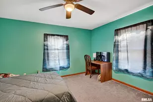 919 9th Ave, Fulton, IL 61252 - Photo 53