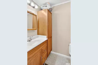 919 9th Avenue, Fulton, IL 61252 - Photo 35