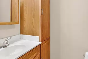 919 9th Ave, Fulton, IL 61252 - Photo 35