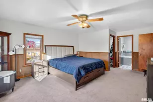 919 9th Ave, Fulton, IL 61252 - Photo 39