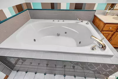 919 9th Avenue, Fulton, IL 61252 - Photo 43