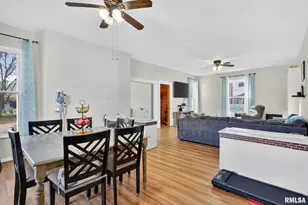 919 9th Ave, Fulton, IL 61252 - Photo 29