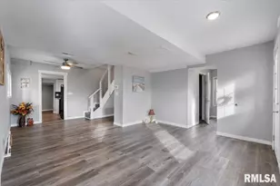 321 2nd Ave E, Milan, IL 61264 - Photo 9