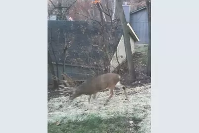 2019 11th Street Place, East Moline, IL 61244 - Photo 47