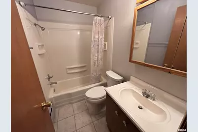 1401 6th Street #A, Orion, IL 61273 - Photo 17