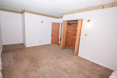 201 N 1st Street, Alpha, IL 61413 - Photo 21