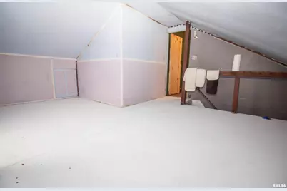 201 N 1st Street, Alpha, IL 61413 - Photo 27