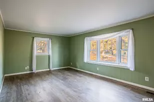 395 N Hankins Rd, Harrisburg, IL 62946 - Photo 3