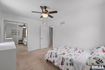 102 Amber Lane, Geneseo, IL 61254 - Photo 29