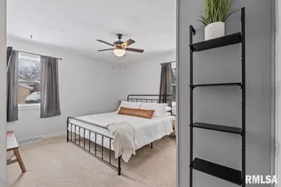 102 Amber Lane, Geneseo, IL 61254 - Photo 21