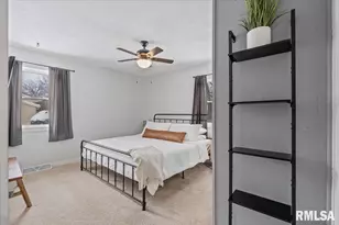 102 Amber Ln, Geneseo, IL 61254 - Photo 21