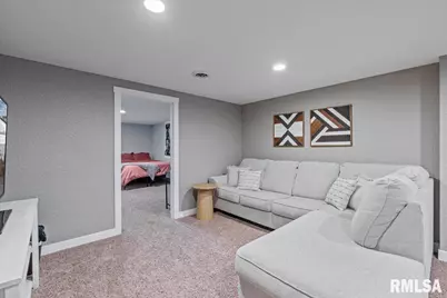 102 Amber Lane, Geneseo, IL 61254 - Photo 39