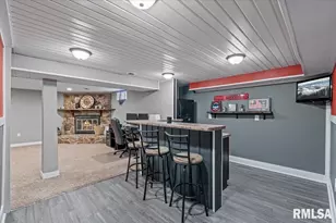 102 Amber Ln, Geneseo, IL 61254 - Photo 35