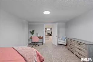 102 Amber Ln, Geneseo, IL 61254 - Photo 41