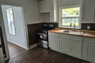 221 McKinley St, Hooppole, IL 61258 - Photo 7