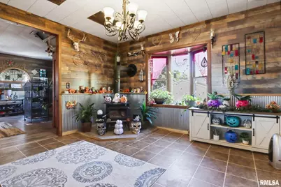 353 E 4th Avenue, Woodhull, IL 61490 - Photo 21