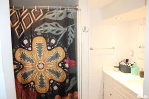 321 W South St, Cambridge, IL 61238 - Photo 11