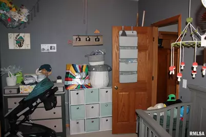 321 W South Street, Cambridge, IL 61238 - Photo 21