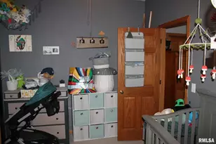 321 W South St, Cambridge, IL 61238 - Photo 21