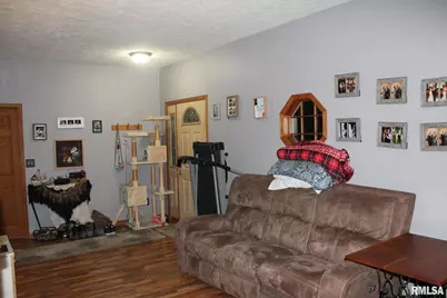 321 W South Street, Cambridge, IL 61238 - Photo 17