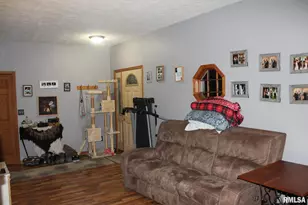 321 W South St, Cambridge, IL 61238 - Photo 17