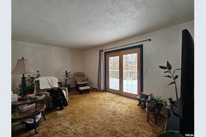 153 Deer Park Drive, Geneseo, IL 61254 - Photo 9