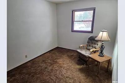 153 Deer Park Drive, Geneseo, IL 61254 - Photo 19