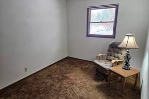 153 Deer Park Dr, Geneseo, IL 61254 - Photo 19