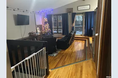 10 Cayuga Trail Trail, Galena, IL  - Photo 13