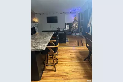 10 Cayuga Trail Trail, Galena, IL  - Photo 15