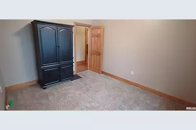 125 A Street, Buda, IL 61314 - Photo 25