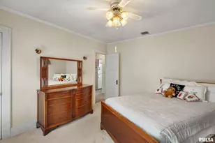 202 W Williams St, Atkinson, IL 61235 - Photo 17