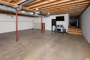 1231 90th St, Joy, IL - Photo 37